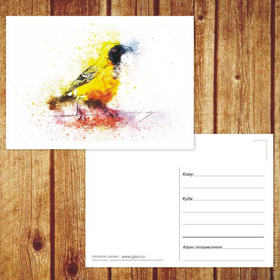 Открытка из набор открыток Птицы
